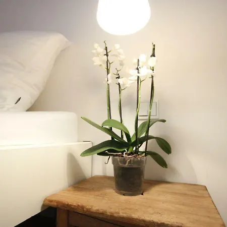 Apartamento Studio Alpine Base *